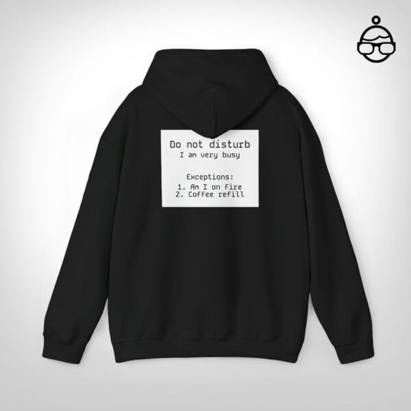 Do not disturb hoodie