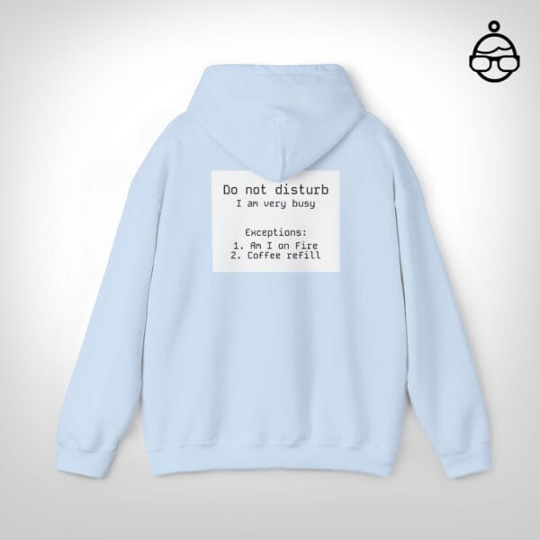 Do not disturb hoodie
