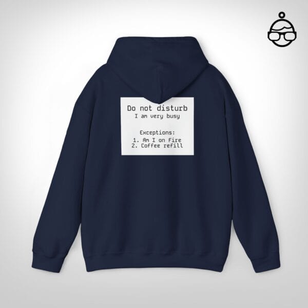Do not disturb hoodie