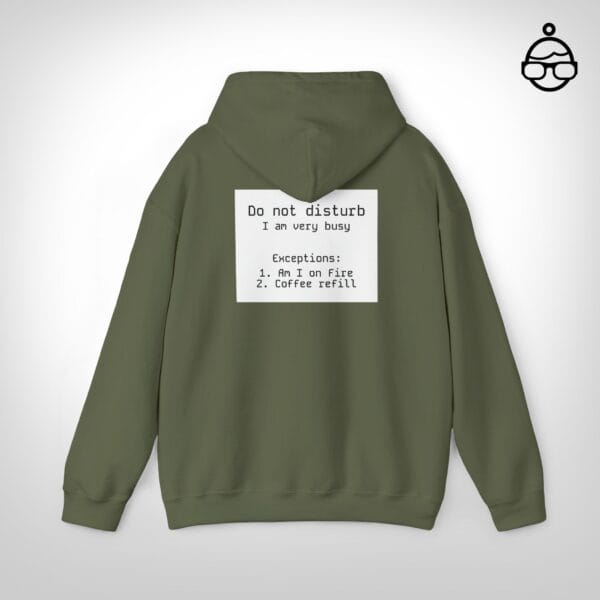 Do not disturb hoodie