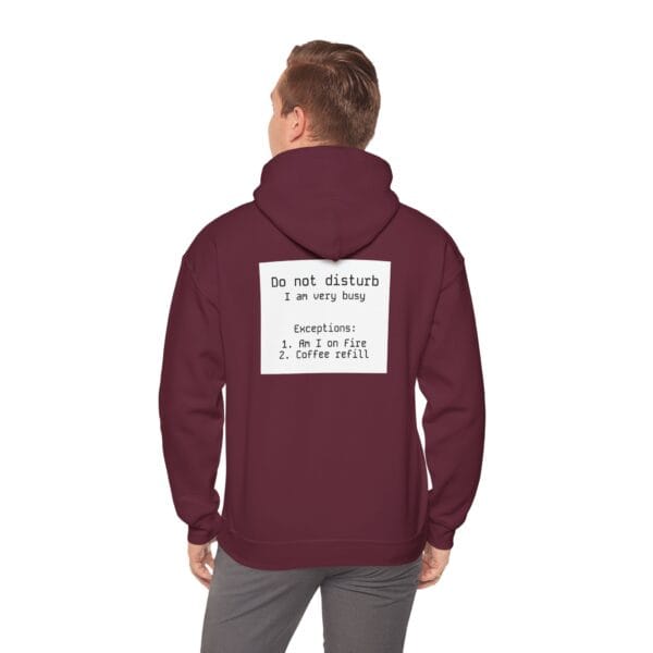 Do not disturb hoodie