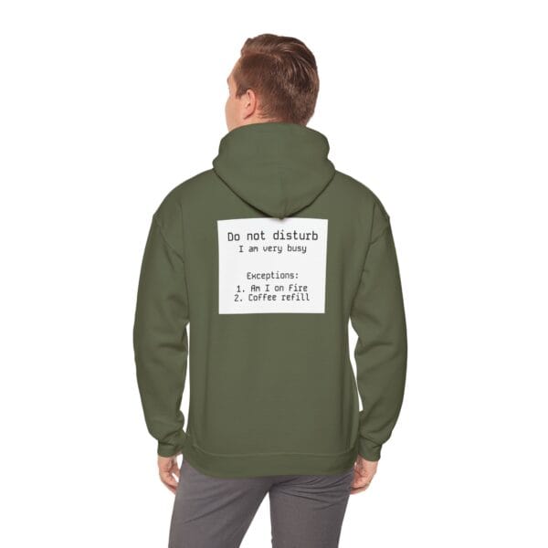 Do not disturb hoodie